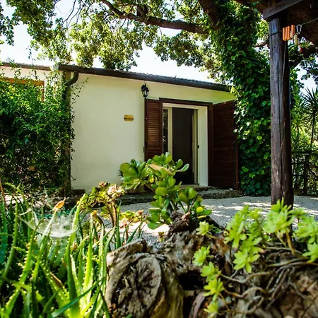Agriturismo Serignano alle Rocchette-2